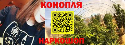 хмурый Заводоуковск