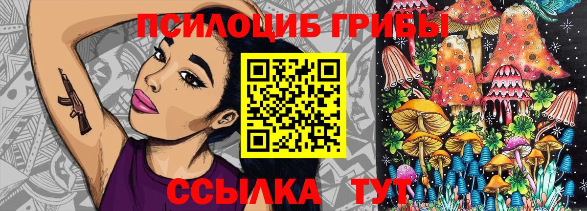 Псилоцибиновые грибы Psilocybe Каменск-Шахтинский