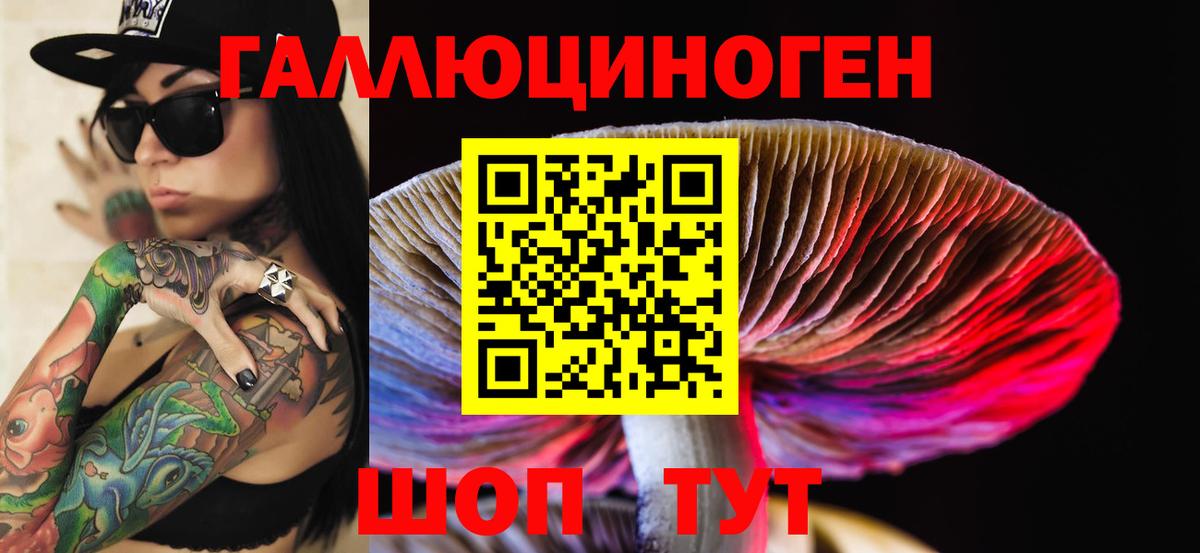 Галлюциногенные грибы Psilocybine cubensis  Каменск-Шахтинский 