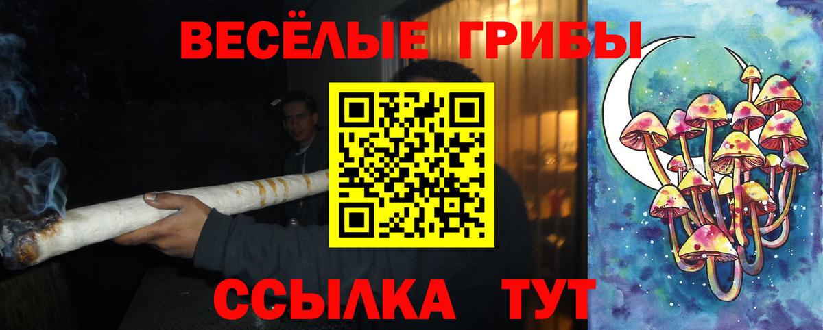 Галлюциногенные грибы Magic Shrooms Каменск-Шахтинский