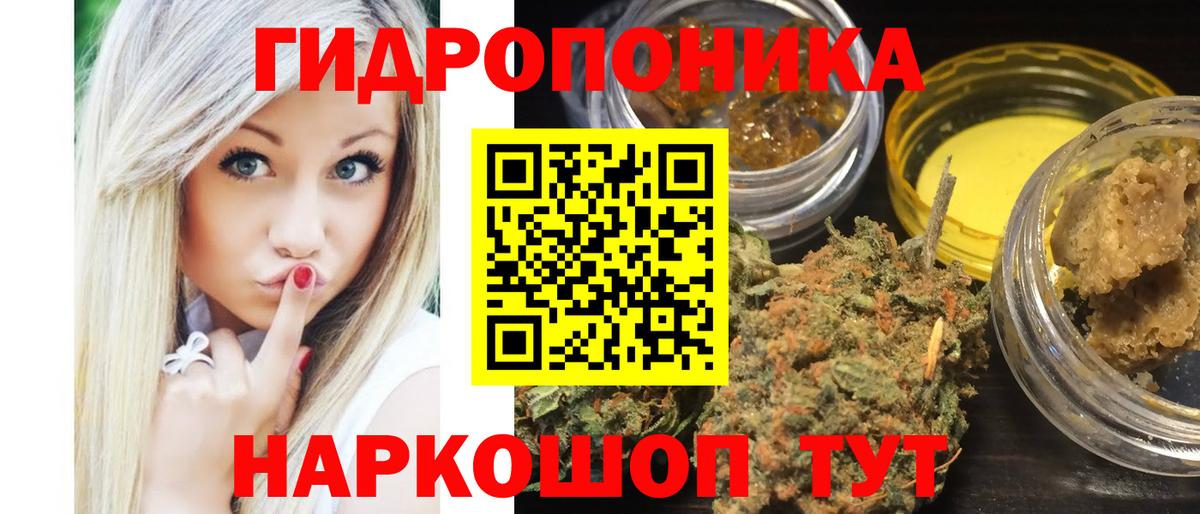Конопля LSD WEED  Шишки марихуана OG Kush  Бошки Шишки LSD WEED  Вход с VPN  Каменск-Шахтинский  Конопля White Widow 